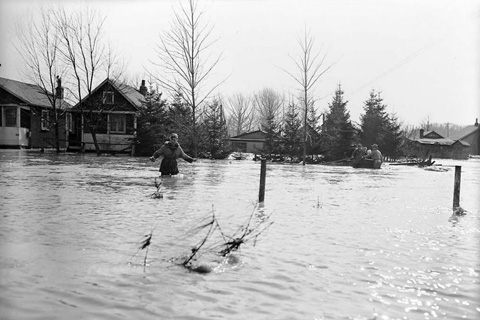 Hurricane Hazel